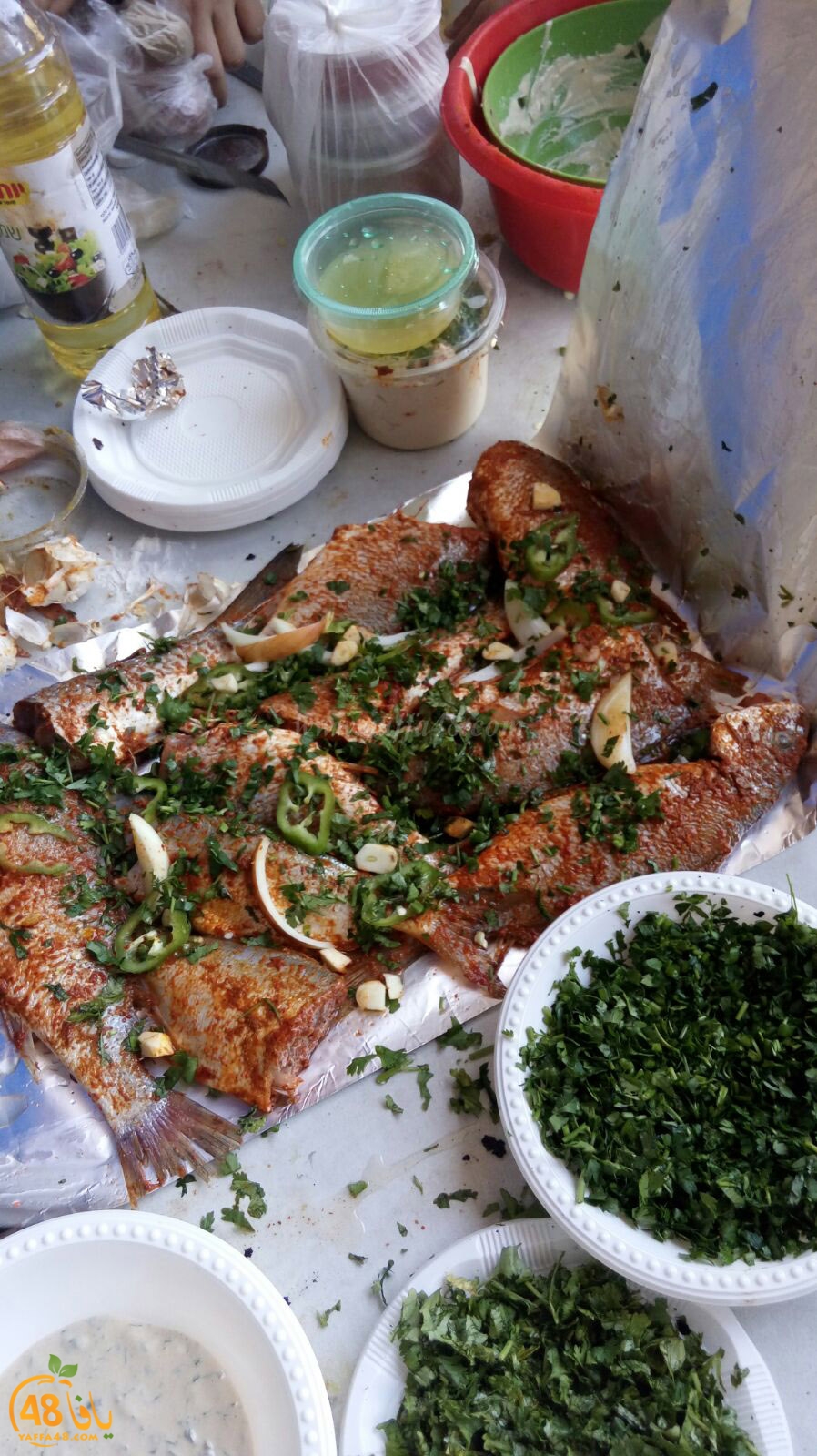 robenerejq (29).jpeg